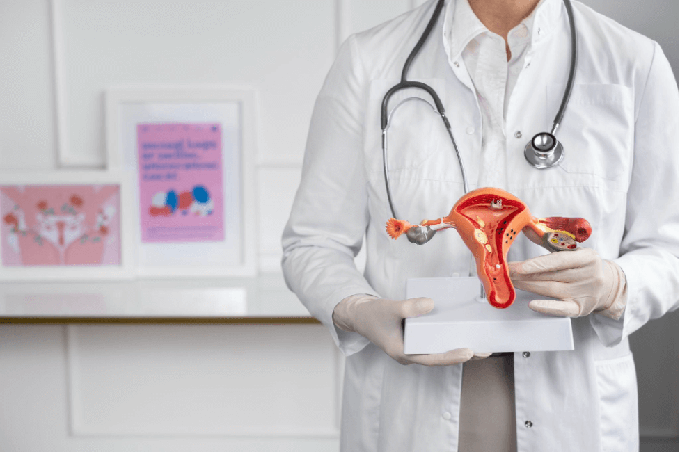 Аденомиоз и эндометриоз: в чем разница и как это влияет на фертильность