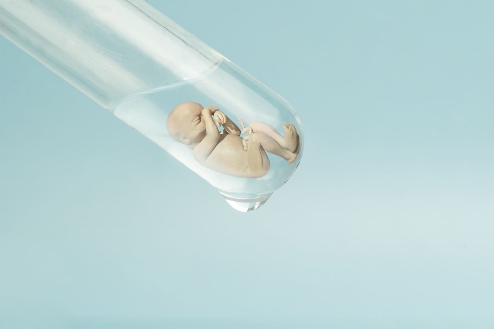 Важный день ЭКО: как происходит перенос эмбрионов