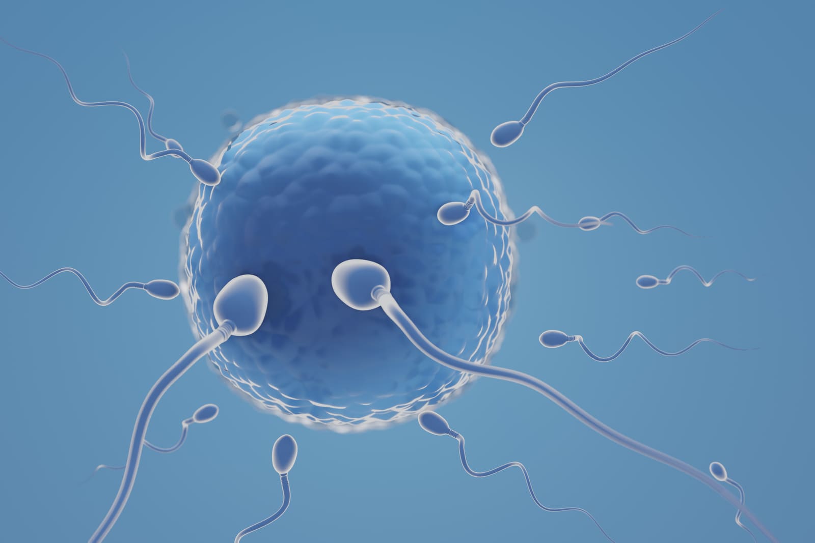 Искусственное оплодотворение