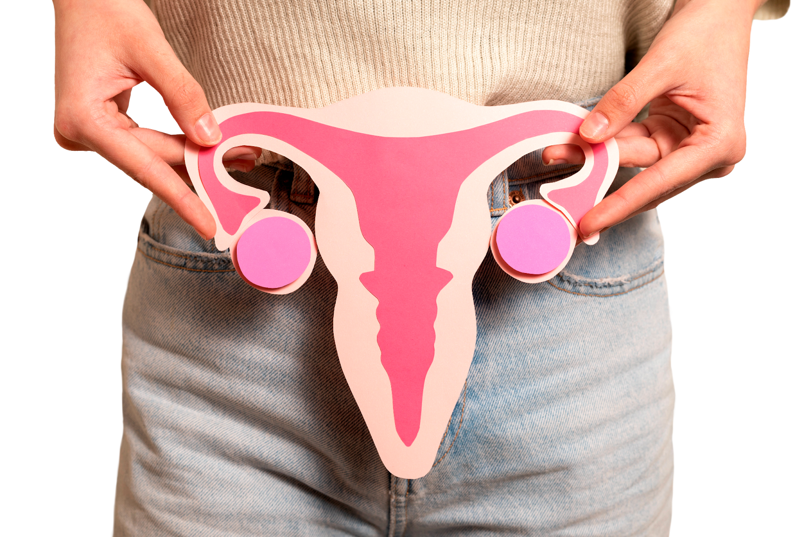 Истонченный эндометрий диагностика, причины и влияние на успешность ЭКО