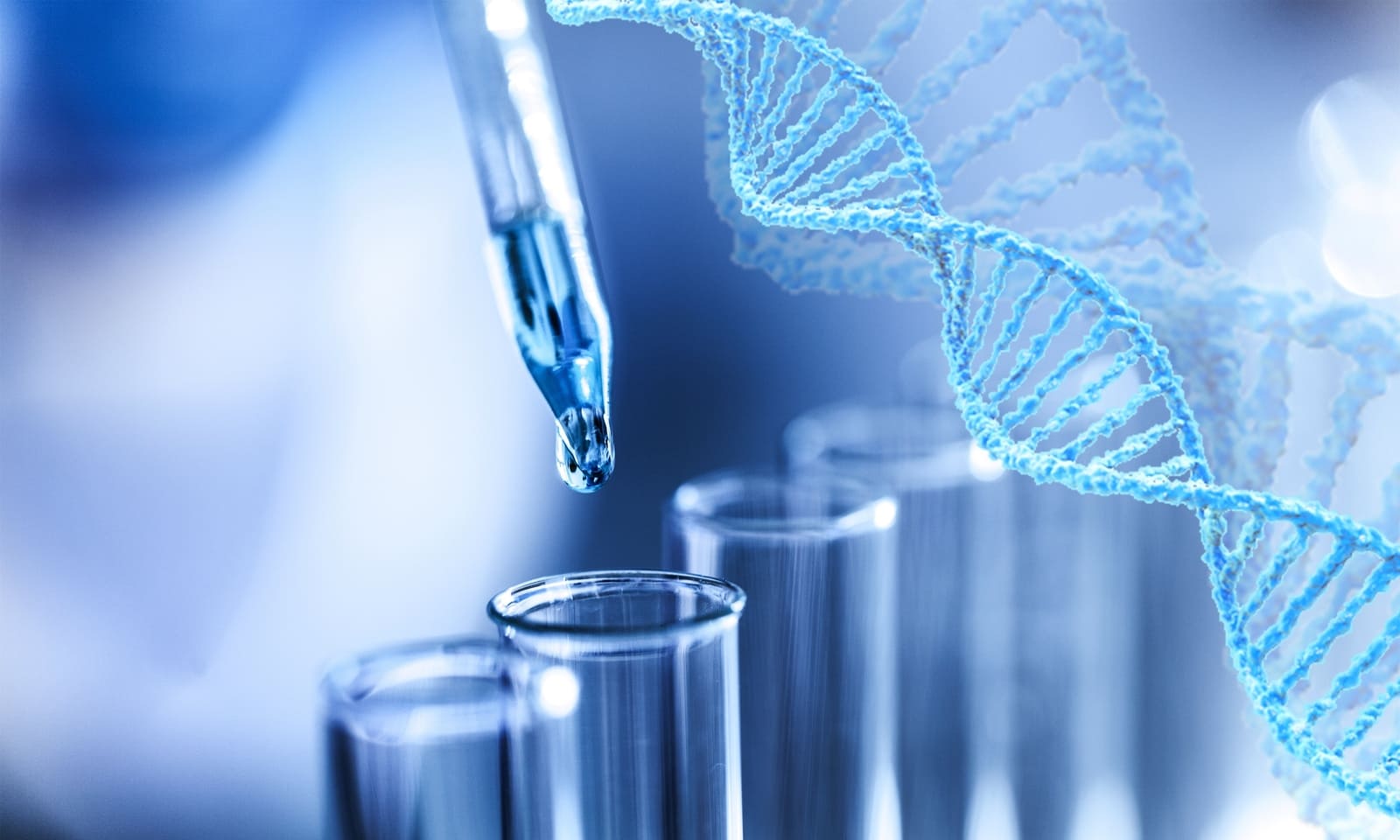 Консультация генетика