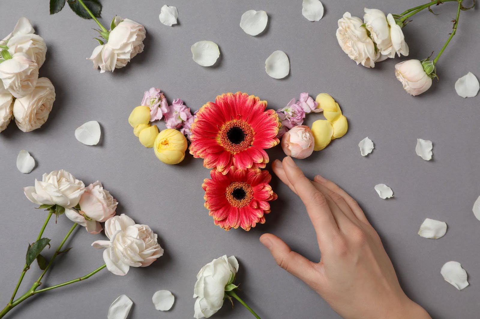 Почему важно соотношение ЛГ и ФСГ при планировании беременности