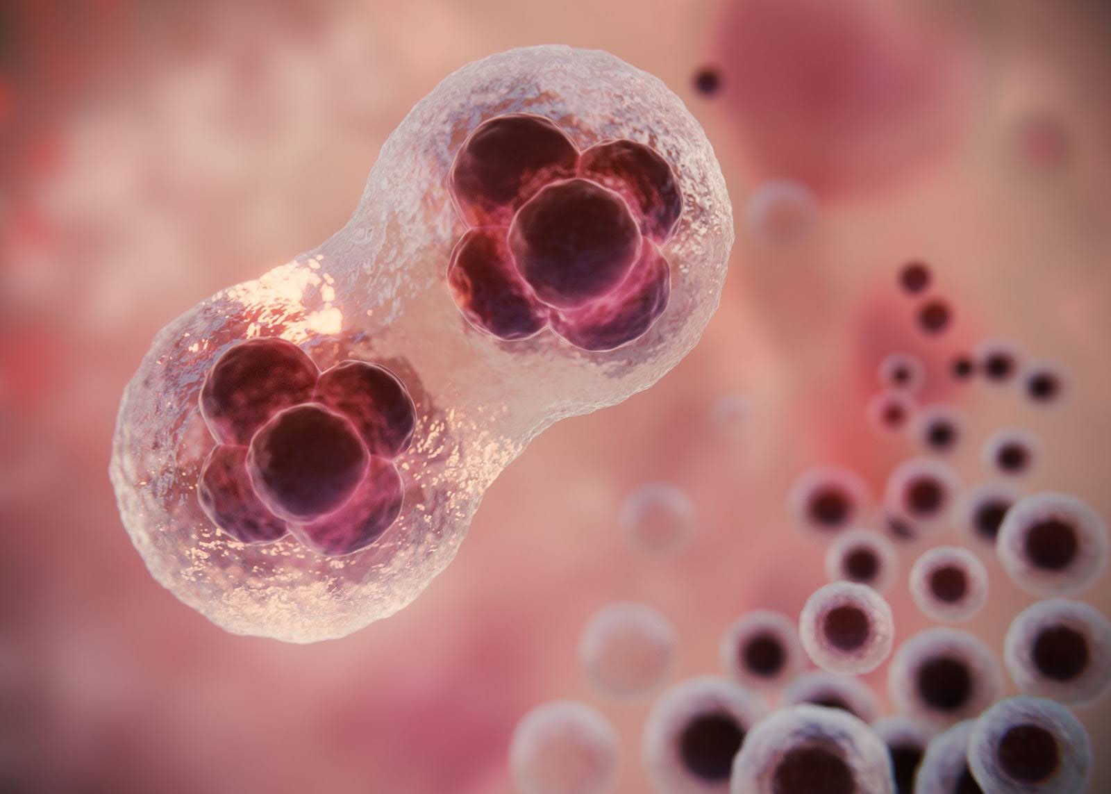 Субмукозная миома: как распознать и вылечить