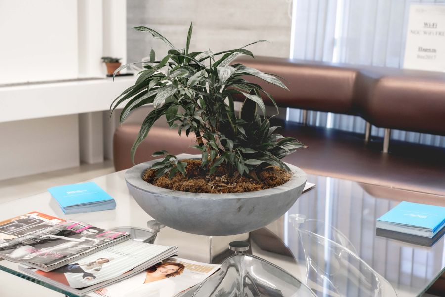 Центр репродуктологии NGC в Москве 3